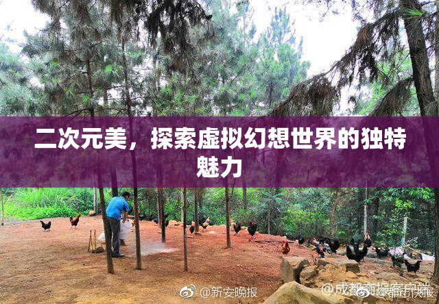 二次元美，探索虚拟幻想世界的独特魅力