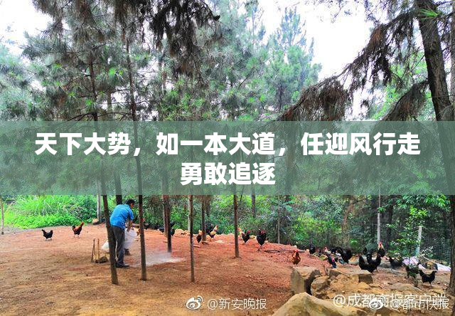天下大势，如一本大道，任迎风行走勇敢追逐