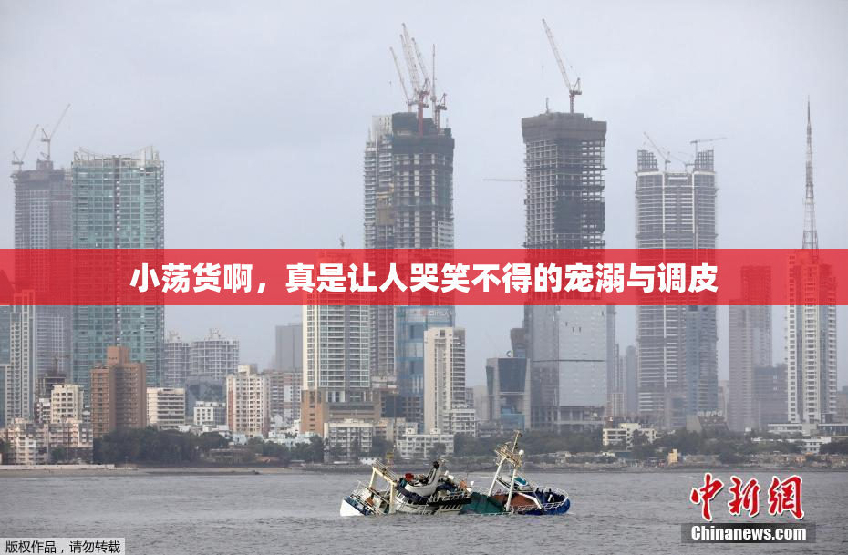 小荡货啊，真是让人哭笑不得的宠溺与调皮