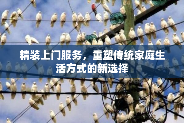 精装上门服务，重塑传统家庭生活方式的新选择