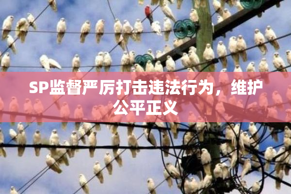 SP监督严厉打击违法行为，维护公平正义