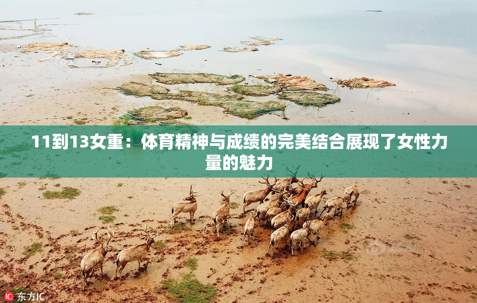 11到13女重：体育精神与成绩的完美结合展现了女性力量的魅力