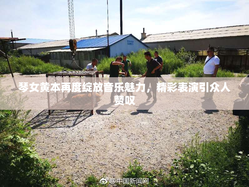 琴女黄本再度绽放音乐魅力，精彩表演引众人赞叹