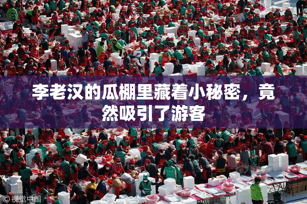李老汉的瓜棚里藏着小秘密，竟然吸引了游客