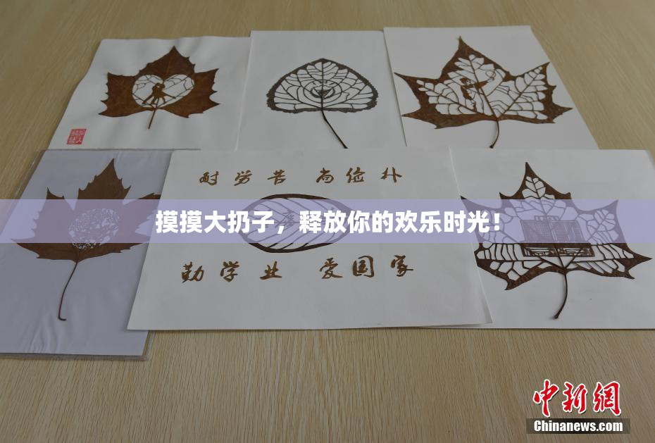 摸摸大扔子，释放你的欢乐时光！