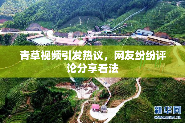 青草视频引发热议，网友纷纷评论分享看法