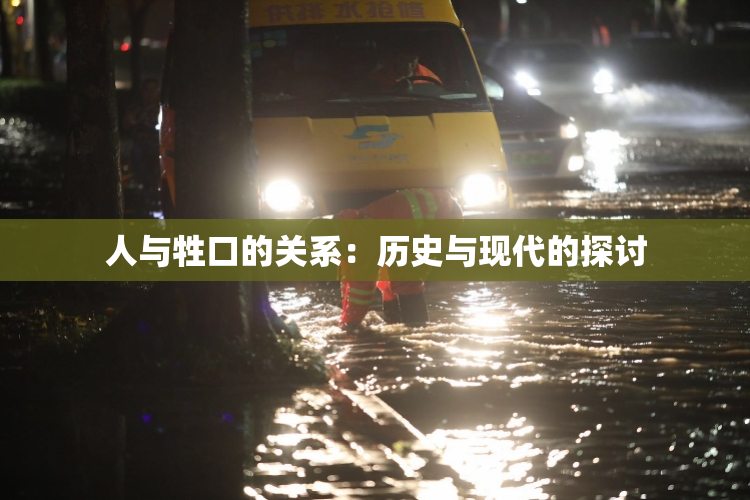 人与牲口的关系：历史与现代的探讨