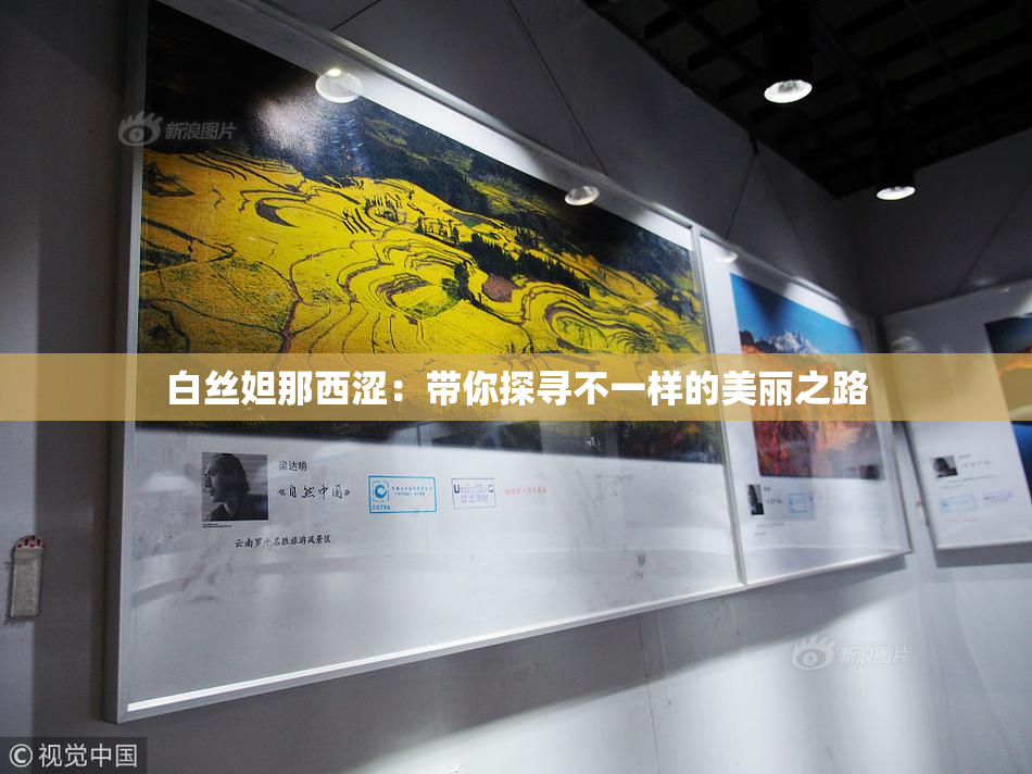 白丝妲那西涩：带你探寻不一样的美丽之路