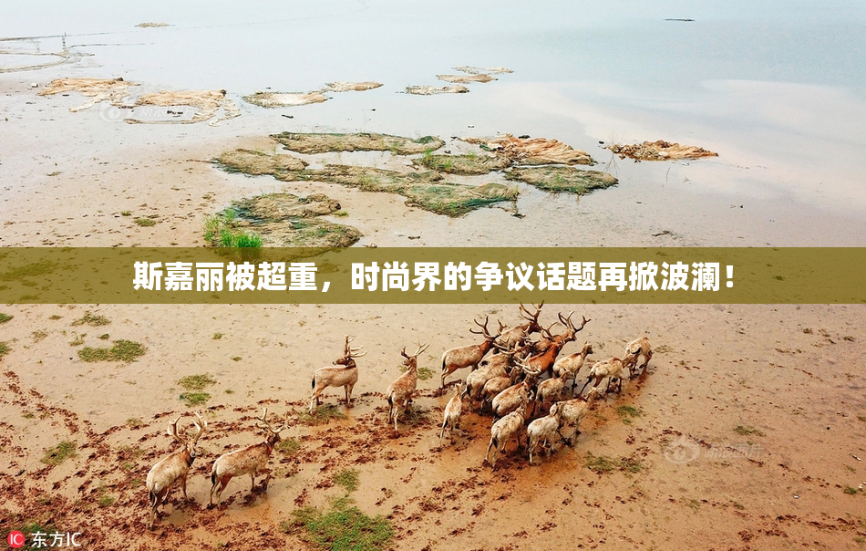 斯嘉丽被超重，时尚界的争议话题再掀波澜！
