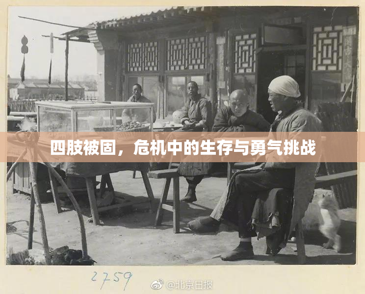 四肢被固，危机中的生存与勇气挑战