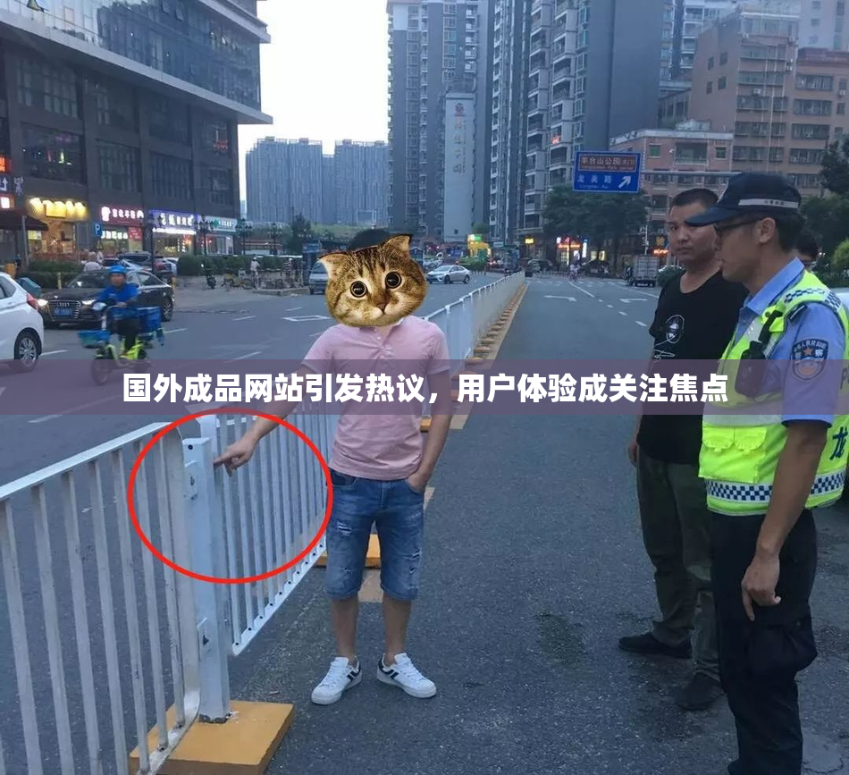 国外成品网站引发热议，用户体验成关注焦点