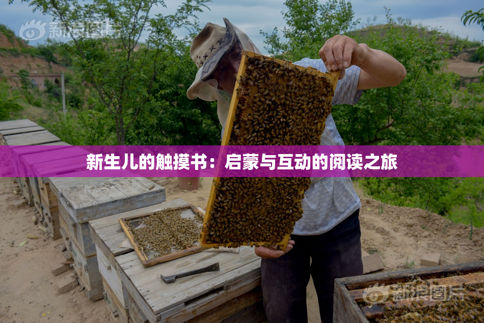 新生儿的触摸书：启蒙与互动的阅读之旅