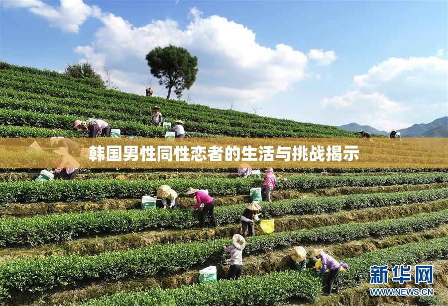 韩国男性同性恋者的生活与挑战揭示