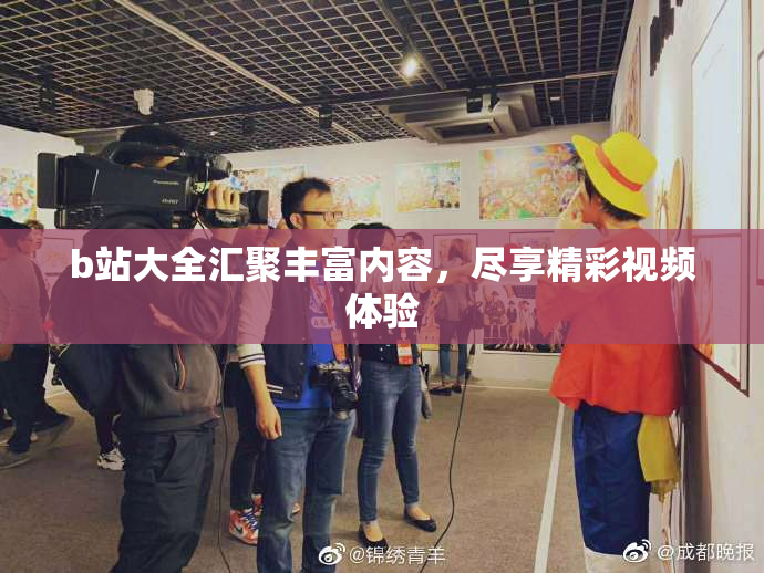 b站大全汇聚丰富内容，尽享精彩视频体验