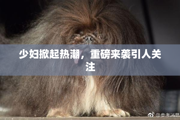 少妇掀起热潮，重磅来袭引人关注