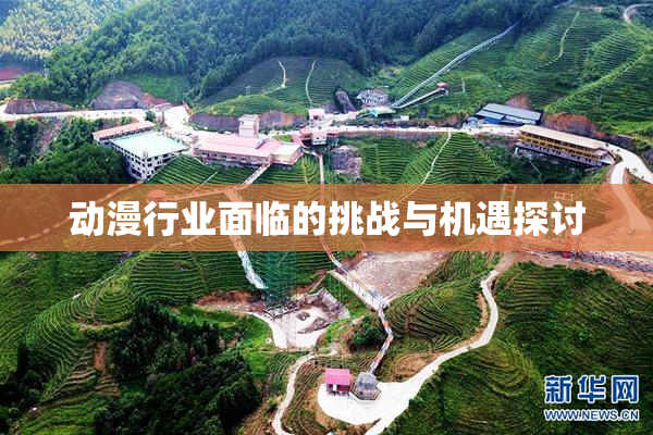 动漫行业面临的挑战与机遇探讨