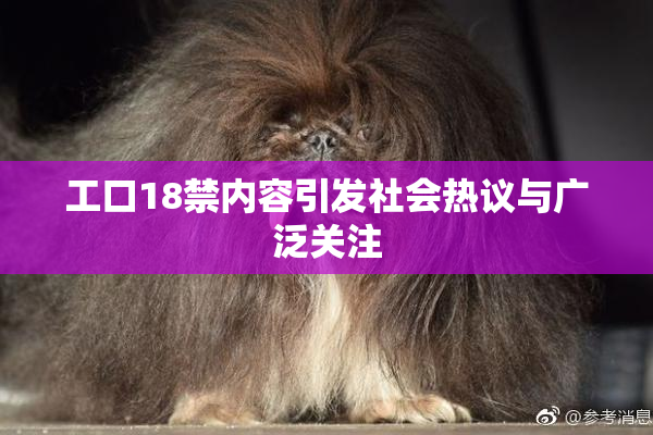 工口18禁内容引发社会热议与广泛关注