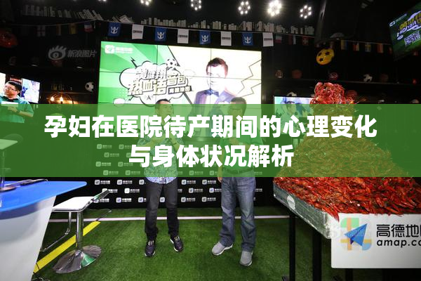 孕妇在医院待产期间的心理变化与身体状况解析