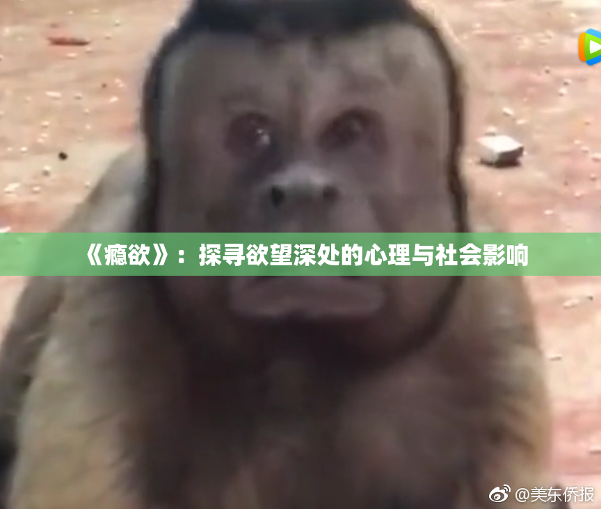 《瘾欲》：探寻欲望深处的心理与社会影响