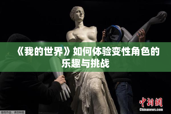 《我的世界》如何体验变性角色的乐趣与挑战