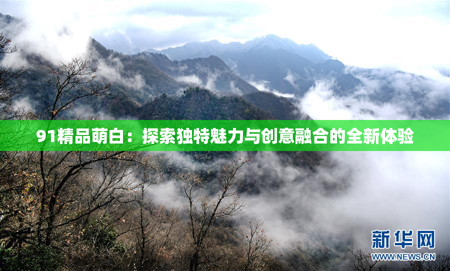 91精品萌白：探索独特魅力与创意融合的全新体验