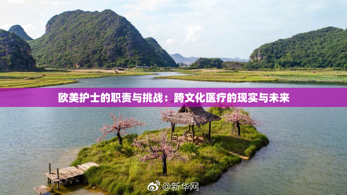 欧美护士的职责与挑战：跨文化医疗的现实与未来