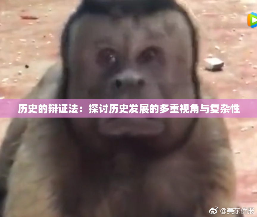 历史的辩证法：探讨历史发展的多重视角与复杂性