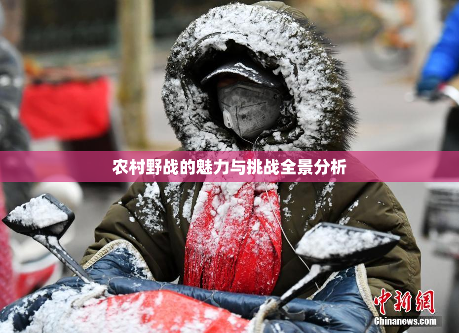 农村野战的魅力与挑战全景分析