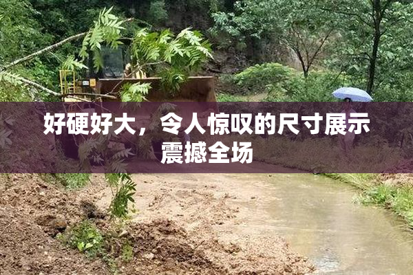 好硬好大，令人惊叹的尺寸展示震撼全场