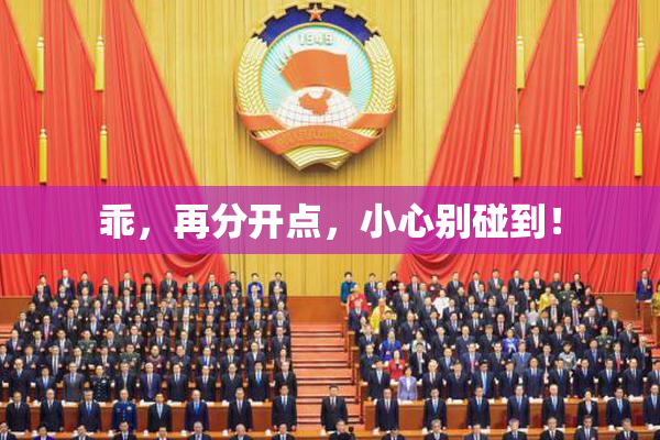 乖，再分开点，小心别碰到！