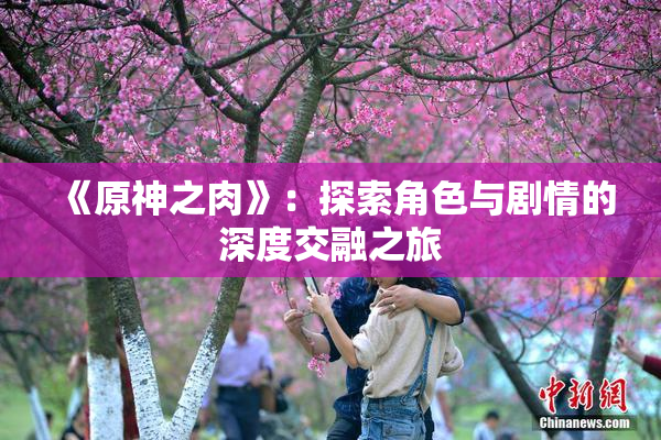 《原神之肉》：探索角色与剧情的深度交融之旅