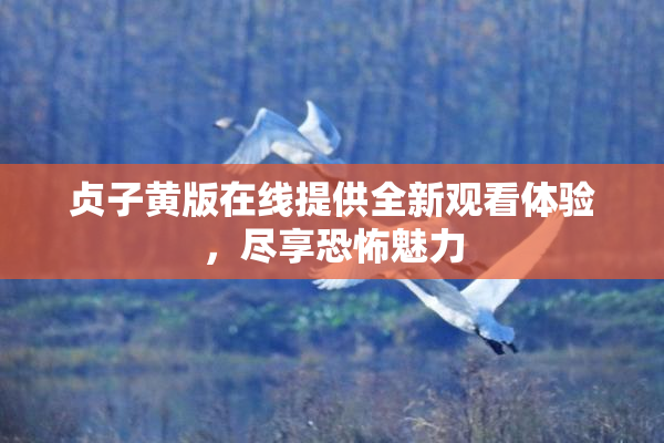 贞子黄版在线提供全新观看体验，尽享恐怖魅力