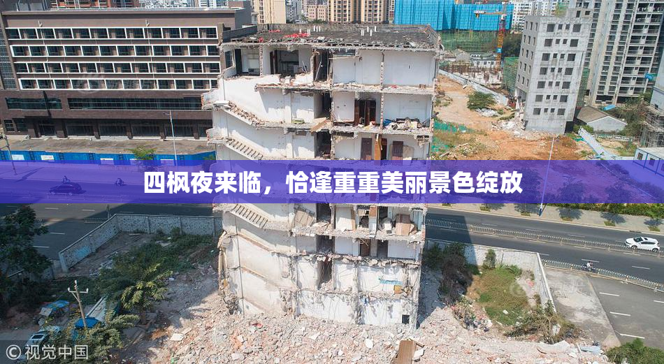 四枫夜来临，恰逢重重美丽景色绽放