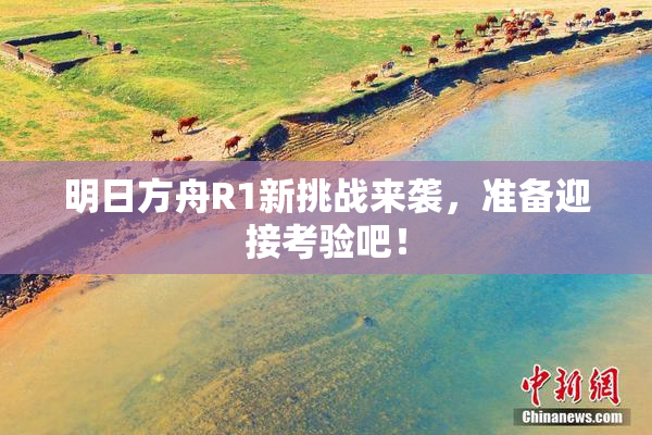 明日方舟R1新挑战来袭，准备迎接考验吧！