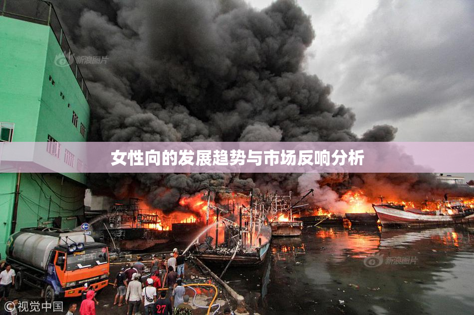 女性向的发展趋势与市场反响分析