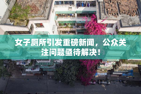 女子厕所引发重磅新闻，公众关注问题亟待解决！