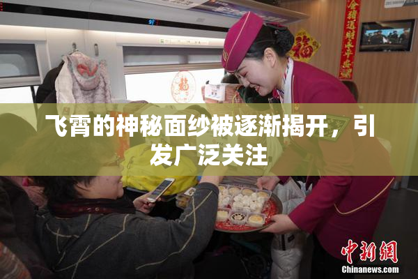 飞霄的神秘面纱被逐渐揭开，引发广泛关注