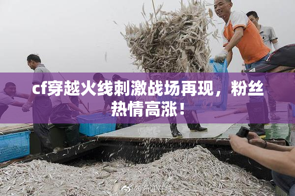 cf穿越火线刺激战场再现，粉丝热情高涨！