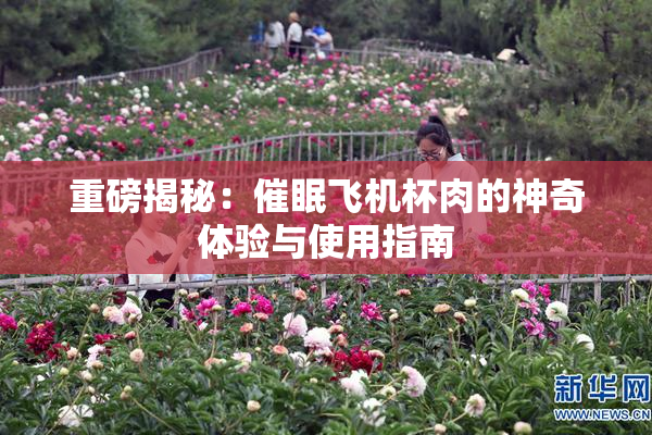 重磅揭秘：催眠飞机杯肉的神奇体验与使用指南