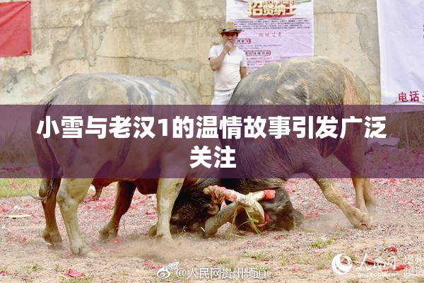 小雪与老汉1的温情故事引发广泛关注