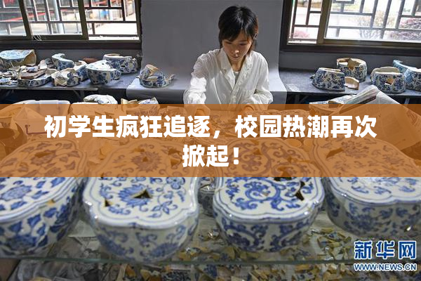 初学生疯狂追逐，校园热潮再次掀起！