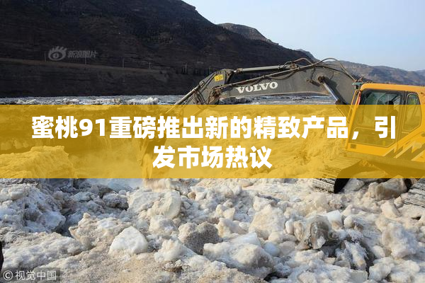 蜜桃91重磅推出新的精致产品，引发市场热议