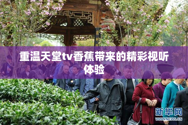 重温天堂tv香蕉带来的精彩视听体验