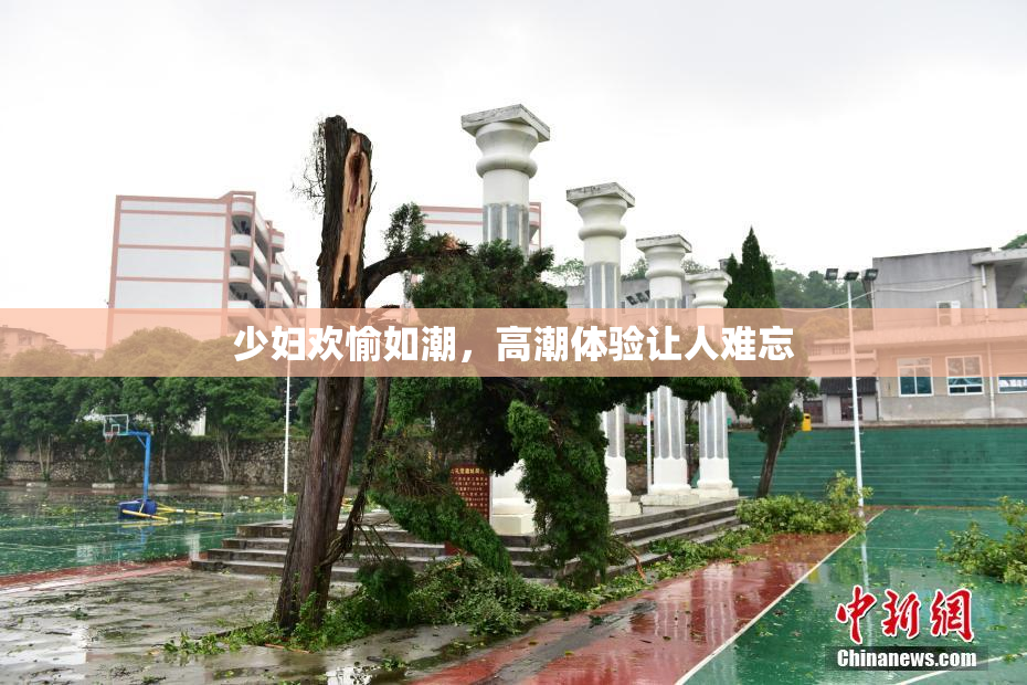 少妇欢愉如潮，高潮体验让人难忘