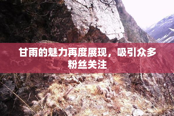 甘雨的魅力再度展现，吸引众多粉丝关注