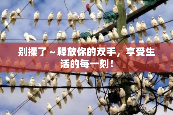 别揉了～释放你的双手，享受生活的每一刻！