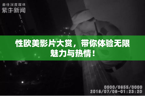 性欧美影片大赏，带你体验无限魅力与热情！