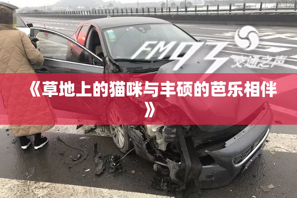 《草地上的猫咪与丰硕的芭乐相伴》