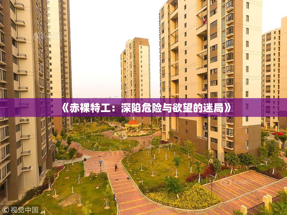 《赤裸特工：深陷危险与欲望的迷局》