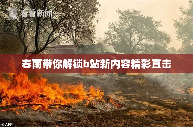 春雨带你解锁b站新内容精彩直击